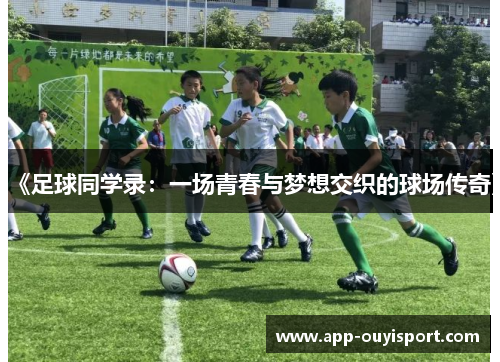 《足球同学录：一场青春与梦想交织的球场传奇》